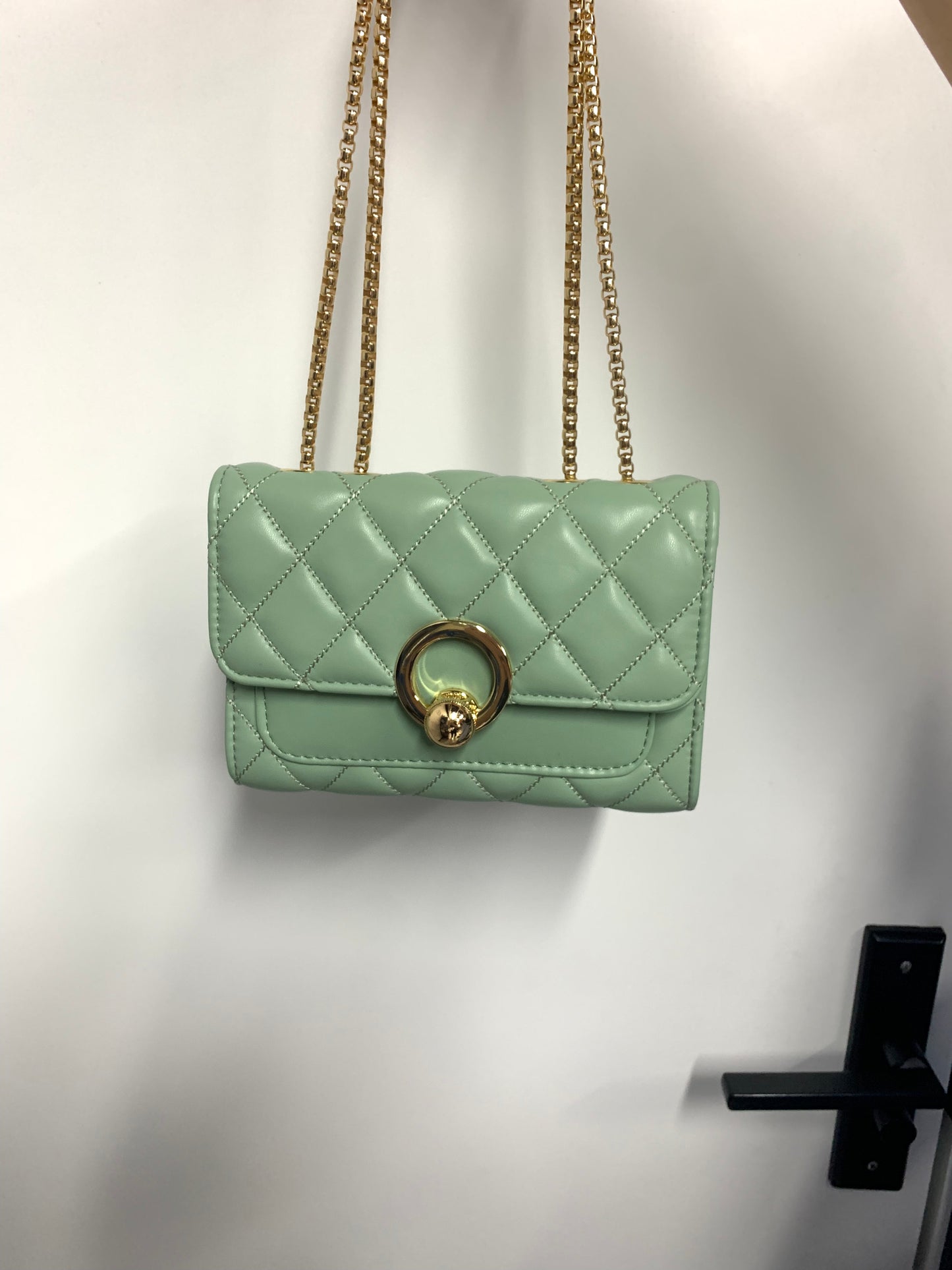 [YX] Gold hoop bag-1